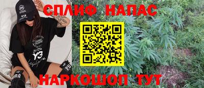 ешки Сланцы