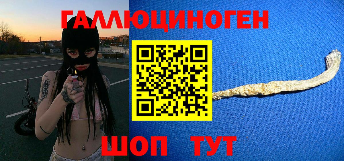 как найти закладки  Псилоцибиновые грибы MAGIC MUSHROOMS  Вход с VPN  Псилоцибиновые грибы GOLDEN TEACHER  Великий Новгород 